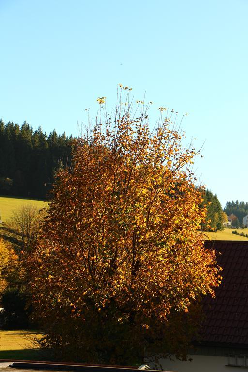 Gasthof Schwarzwaldtanne Schönwalde Exteriér fotografie