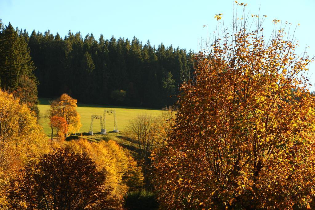 Gasthof Schwarzwaldtanne Schönwalde Exteriér fotografie