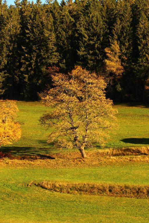 Gasthof Schwarzwaldtanne Schönwalde Exteriér fotografie